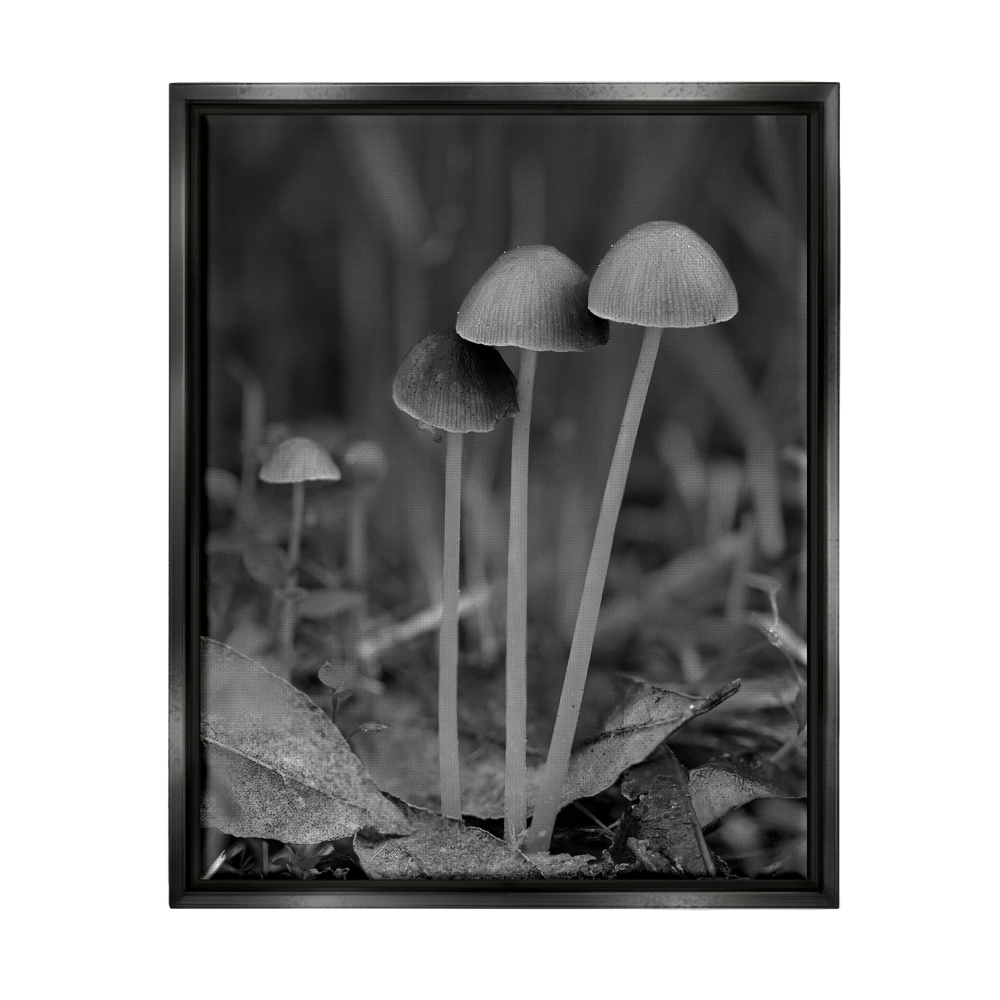 Stupell Industries Forest Mushroom Photography Botanical & Floral Photography Black Floater Framed Canvas Art Print Wall Art, 25 x 31