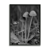 Stupell Industries Forest Mushroom Photography Botanical & Floral Photography Black Framed Art Print Wall Art, 11 x 14