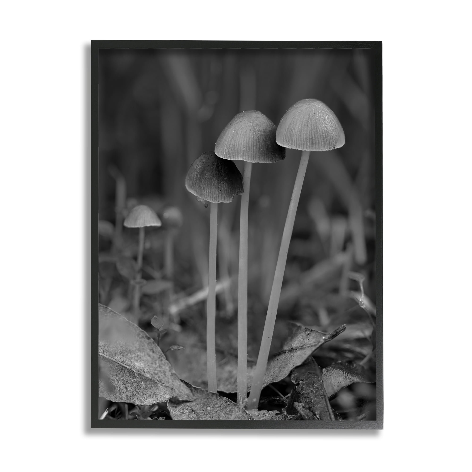 Stupell Industries Forest Mushroom Photography Botanical & Floral Photography Black Framed Art Print Wall Art, 16 x 20