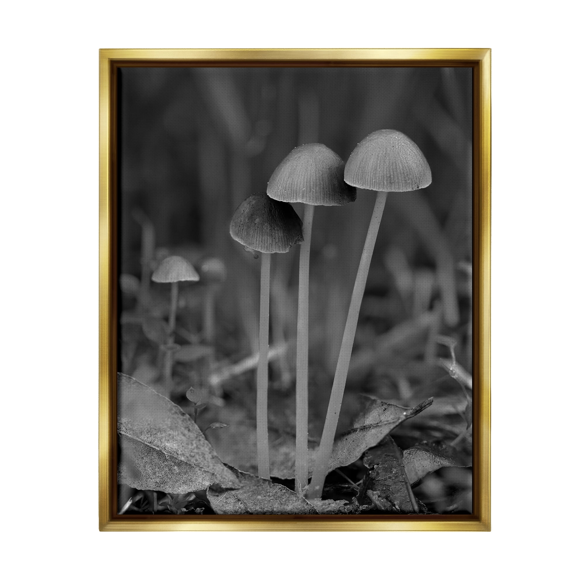 Stupell Industries Forest Mushroom Photography Botanical & Floral Photography Gold Floater Framed Canvas Art Print Wall Art, 25 x 31