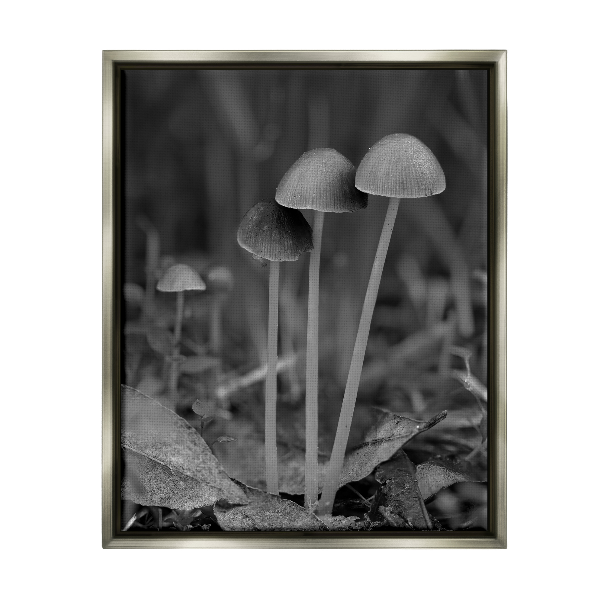 Stupell Industries Forest Mushroom Photography Botanical & Floral Photography Gray Floater Framed Canvas Art Print Wall Art, 17 x 21