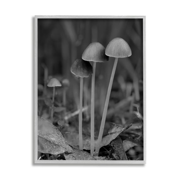 Stupell Industries Forest Mushroom Photography Botanical & Floral Photography Gray Framed Art Print Wall Art, 24 x 30