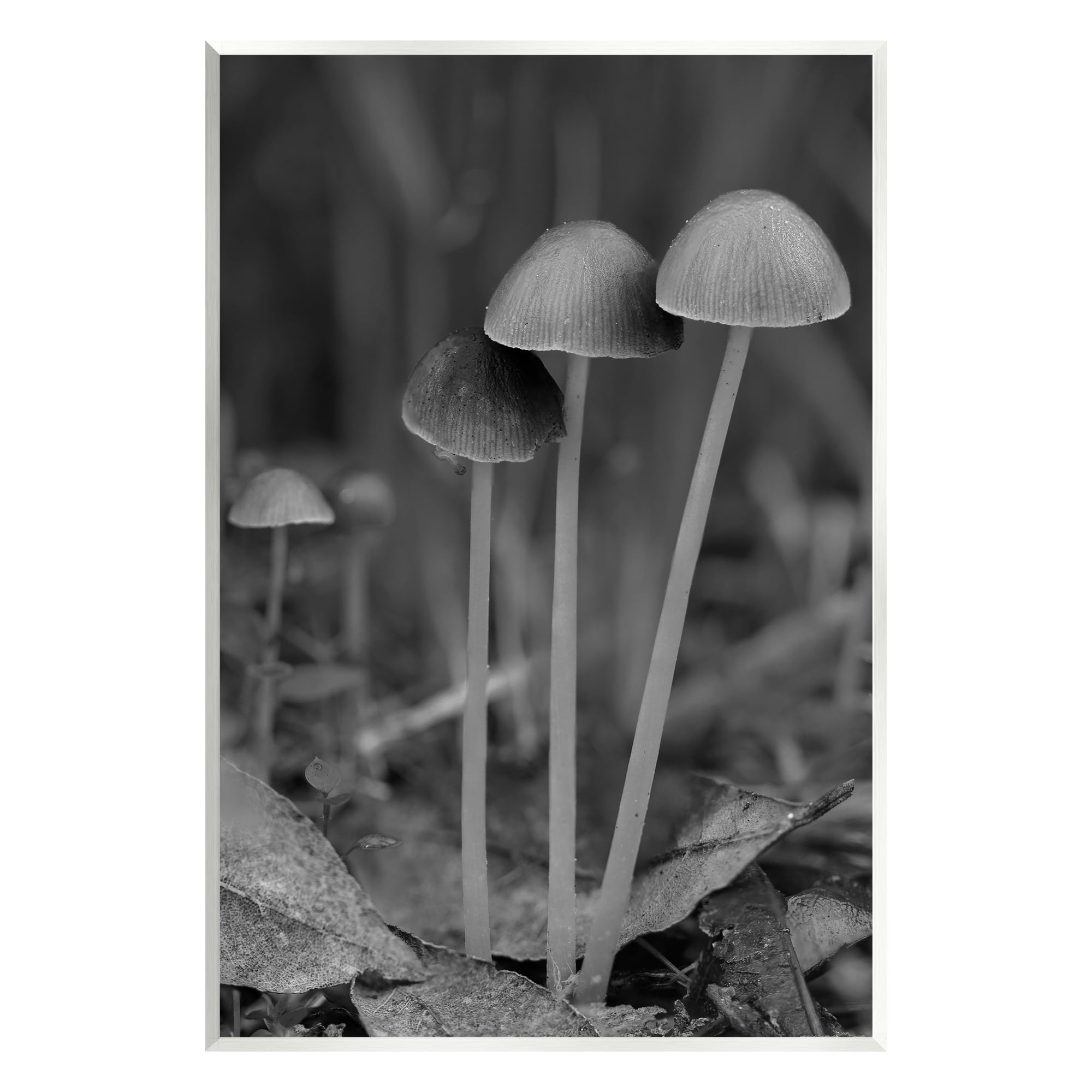 Stupell Industries Forest Mushroom Photography Botanical & Floral Photography Unframed Art Print Wall Art, 13 x 19