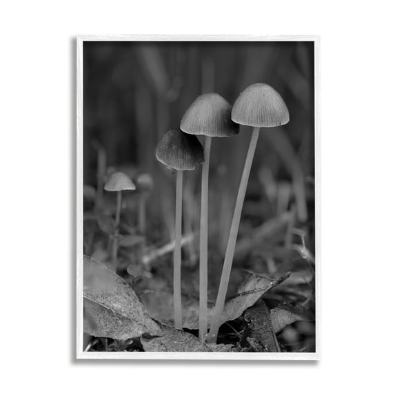 Stupell Industries Forest Mushroom Photography Botanical & Floral Photography White Framed Art Print Wall Art, 11 x 14
