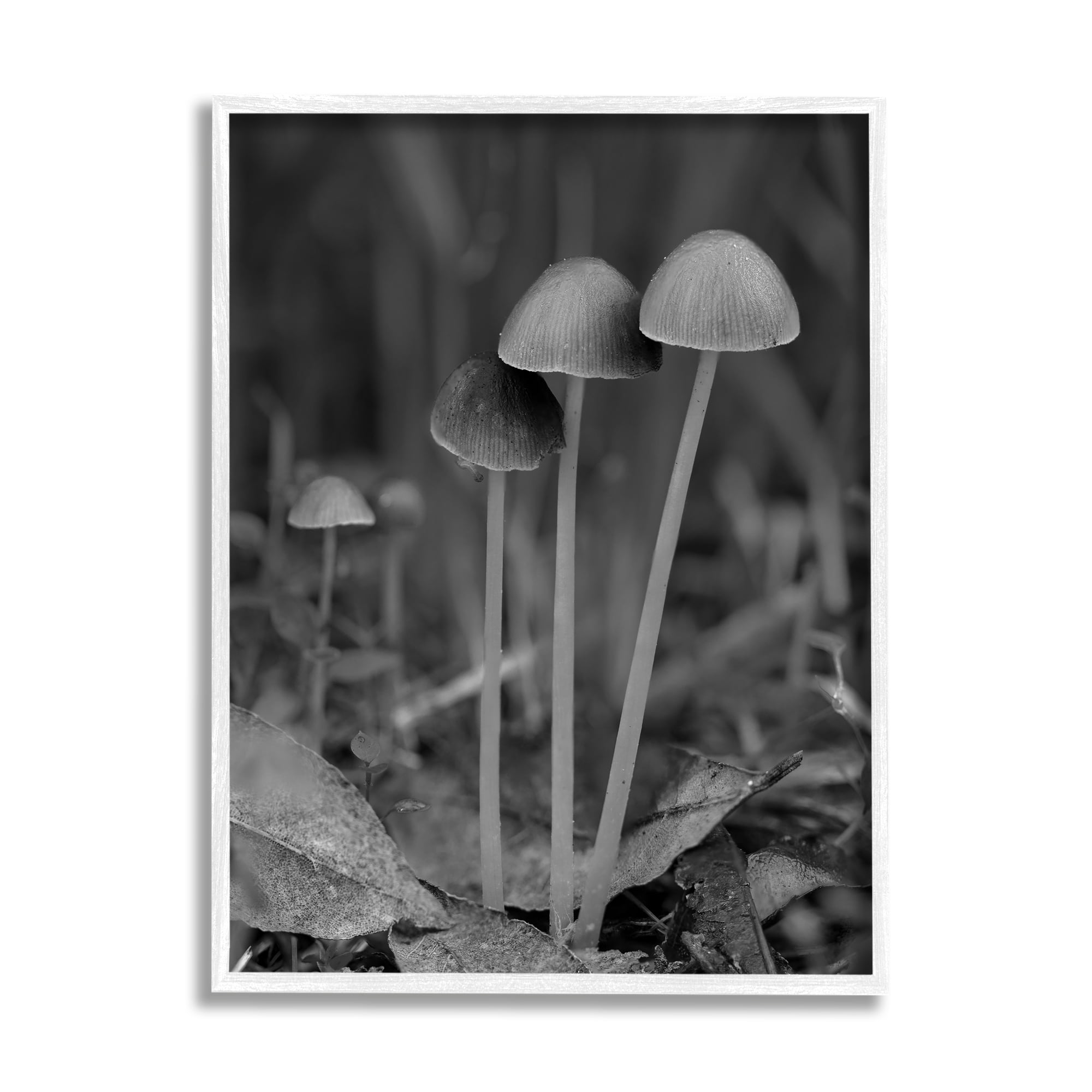 Stupell Industries Forest Mushroom Photography Botanical & Floral Photography White Framed Art Print Wall Art, 24 x 30