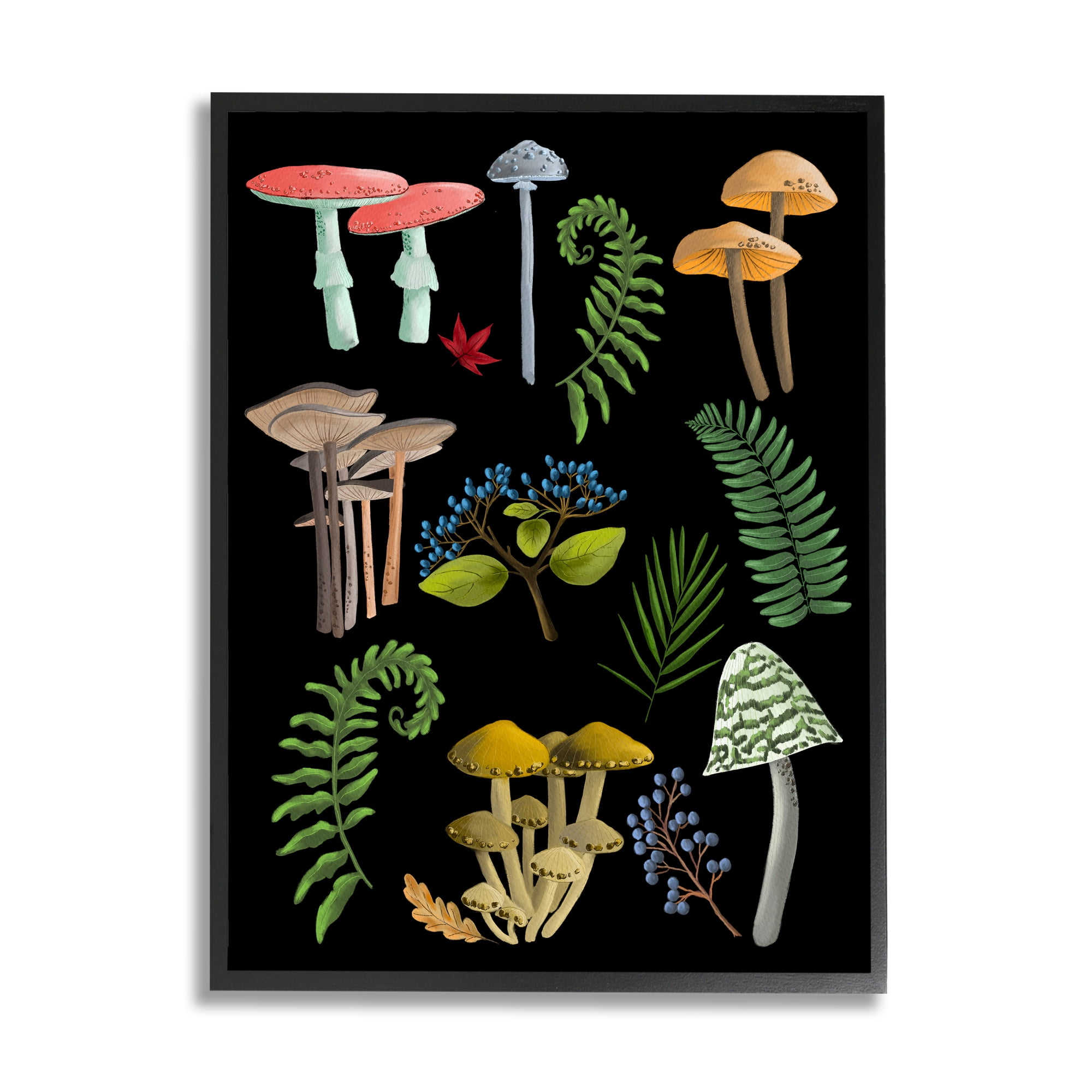 Stupell Industries Forest Mushrooms & Plants Botanical & Floral Painting Black Framed Art Print Wall Art, 11 x 14