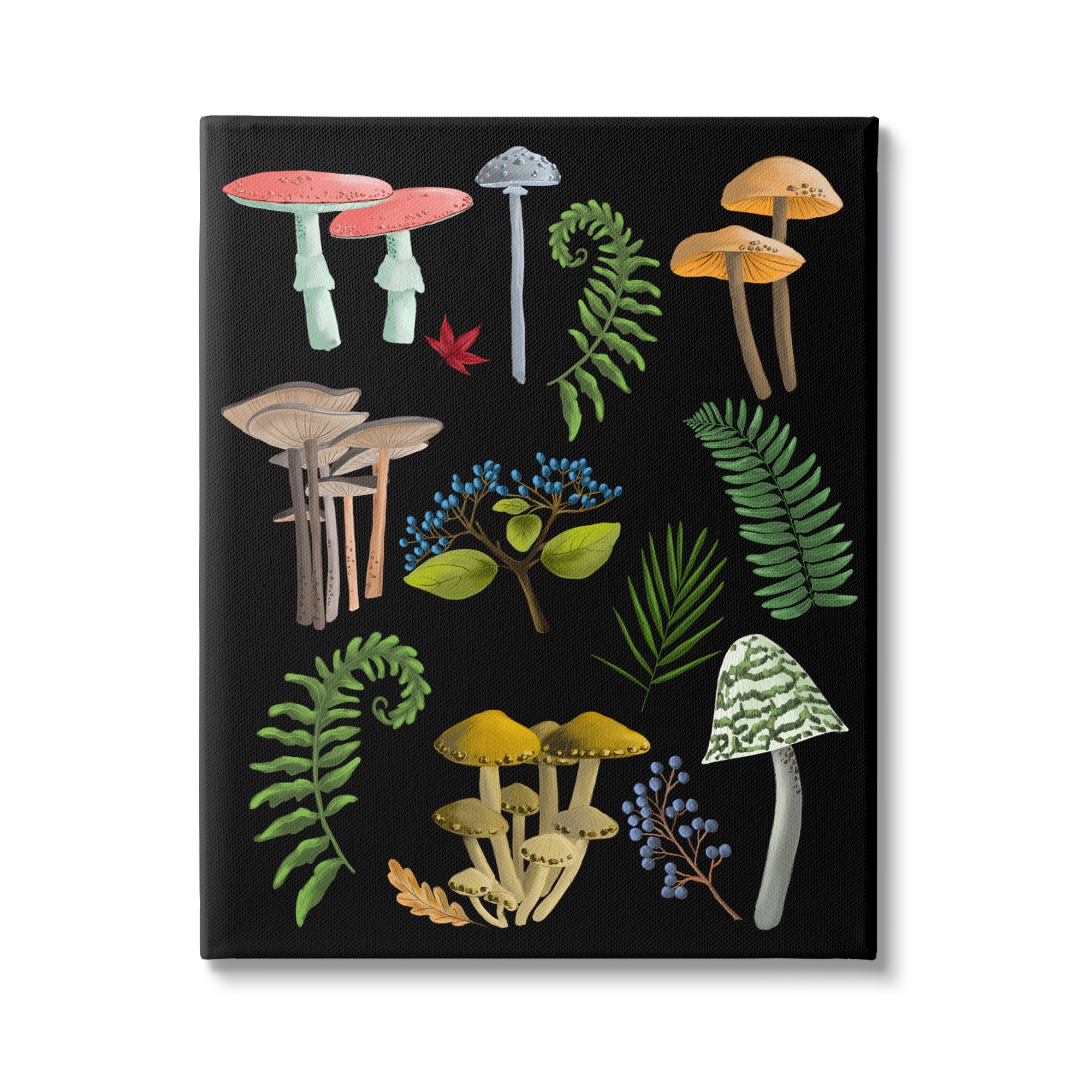 Stupell Industries Forest Mushrooms & Plants Botanical & Floral Painting Gallery Wrapped Canvas Art Print Wall Art, 16 x 20