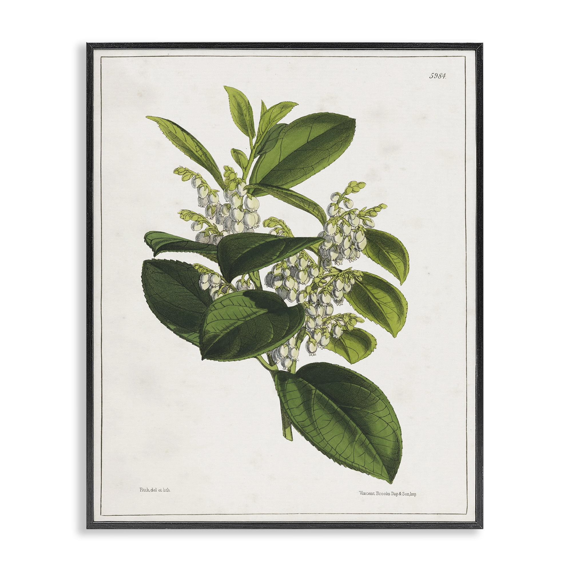 Stupell Industries Forest Nature Botanical Plants & Flowers Painting Black Framed Art Print Wall Art, 16 x 20