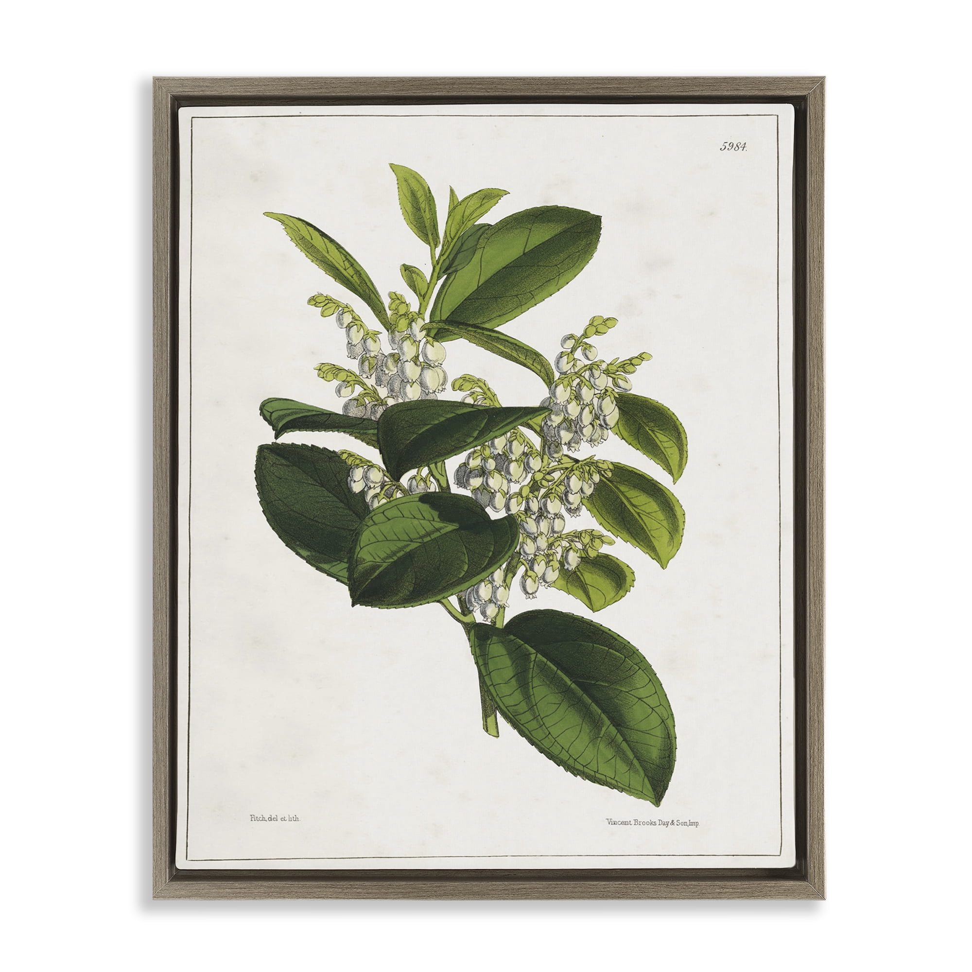 Stupell Industries Forest Nature Botanical Plants & Flowers Painting Brown Floater Framed Canvas Art Print Wall Art, 25 x 31