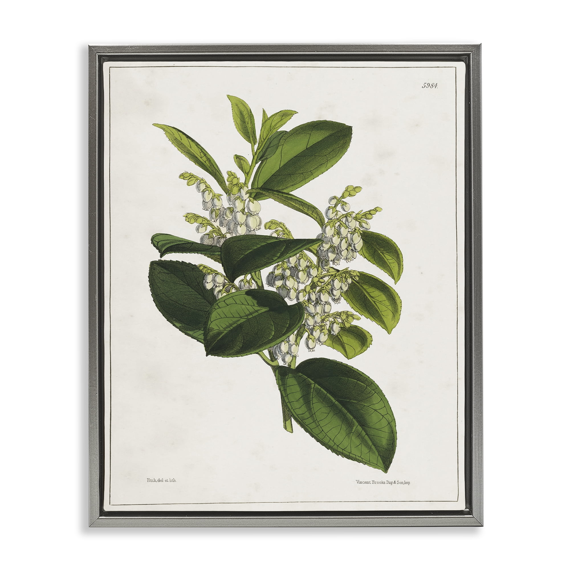 Stupell Industries Forest Nature Botanical Plants & Flowers Painting Gray Floater Framed Canvas Art Print Wall Art, 17 x 21