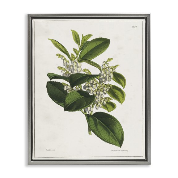 Stupell Industries Forest Nature Botanical Plants & Flowers Painting Gray Floater Framed Canvas Art Print Wall Art, 25 x 31