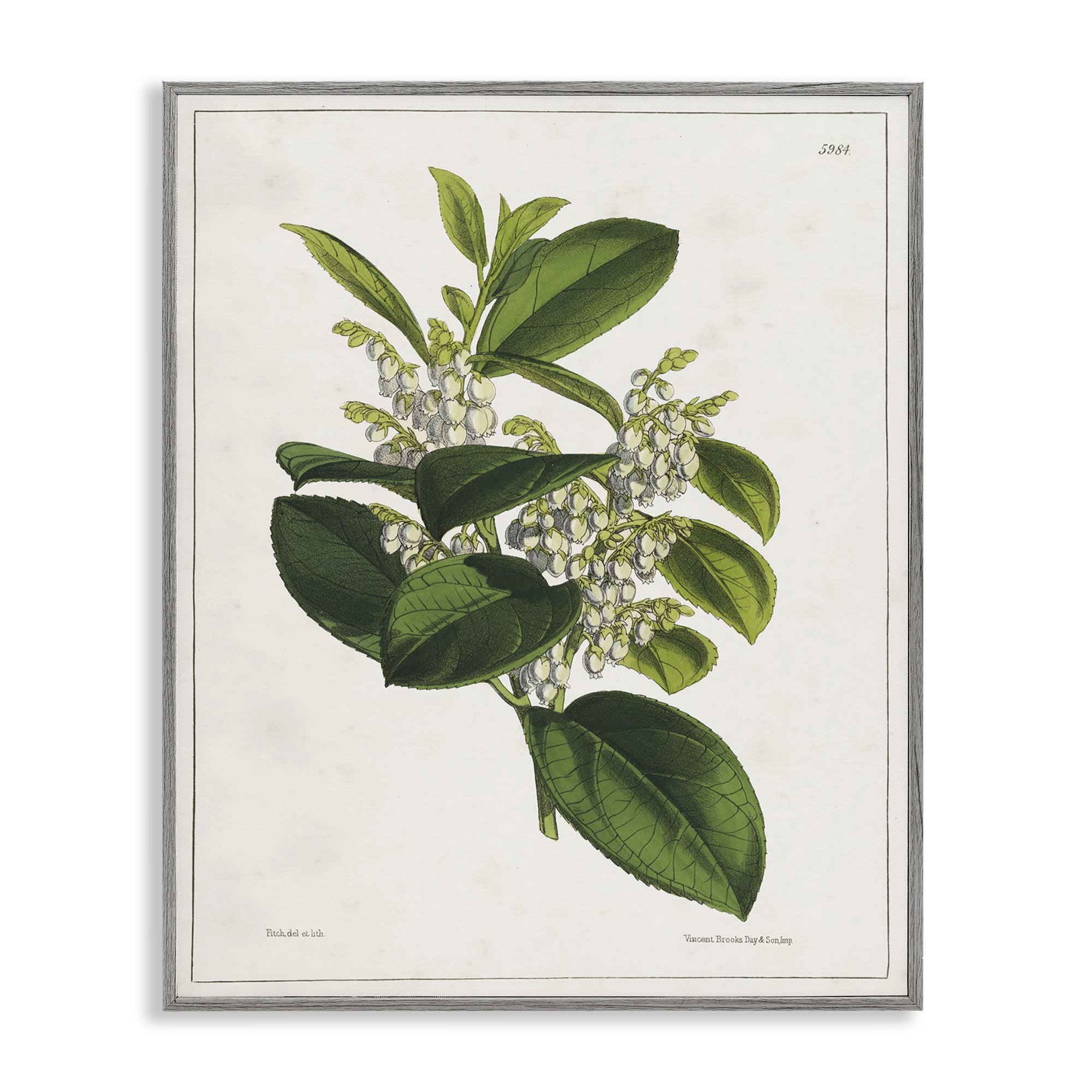 Stupell Industries Forest Nature Botanical Plants & Flowers Painting Gray Framed Art Print Wall Art, 16 x 20