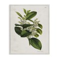 thumbnail image 1 of Stupell Industries Cottage Canvas Art, 16 x 20, by Tina Higgins Designs Inc., 1 of 8