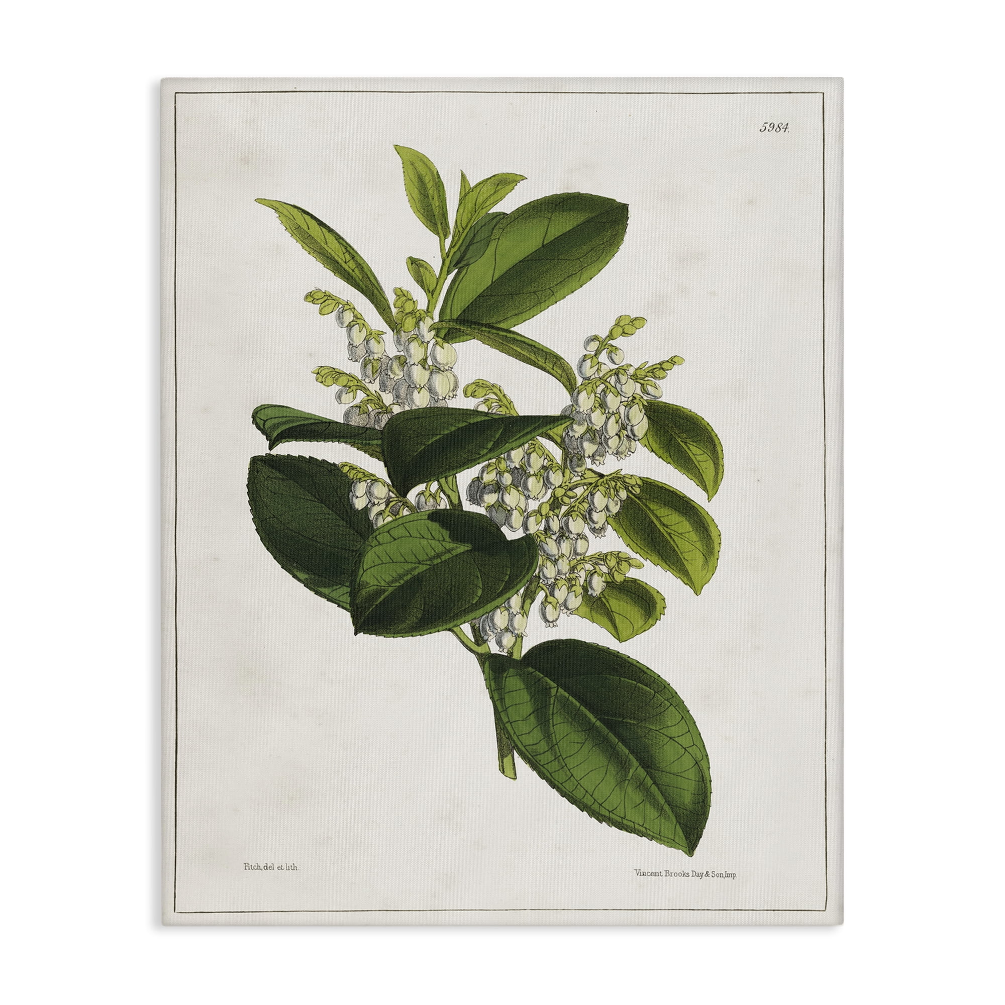 Stupell Industries Forest Nature Botanical Plants & Flowers Painting Wrapped Canvas Art Print Wall Art, 24 x 30