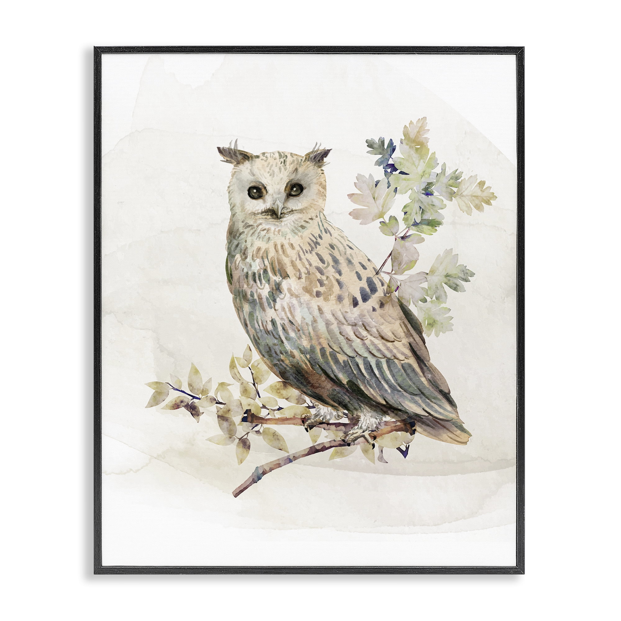 Stupell Industries Forest Owl with Foliage Black Framed Giclee Art, design by CAD Designs