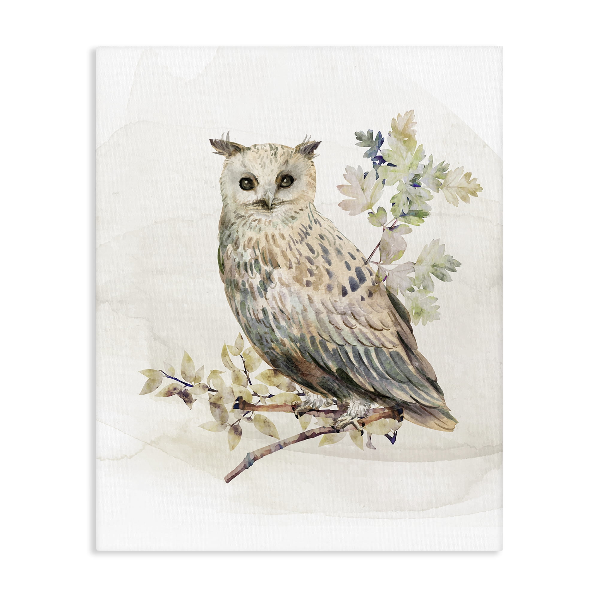Stupell Industries Forest Owl with Foliage Canvas Wall Art, design by CAD Designs