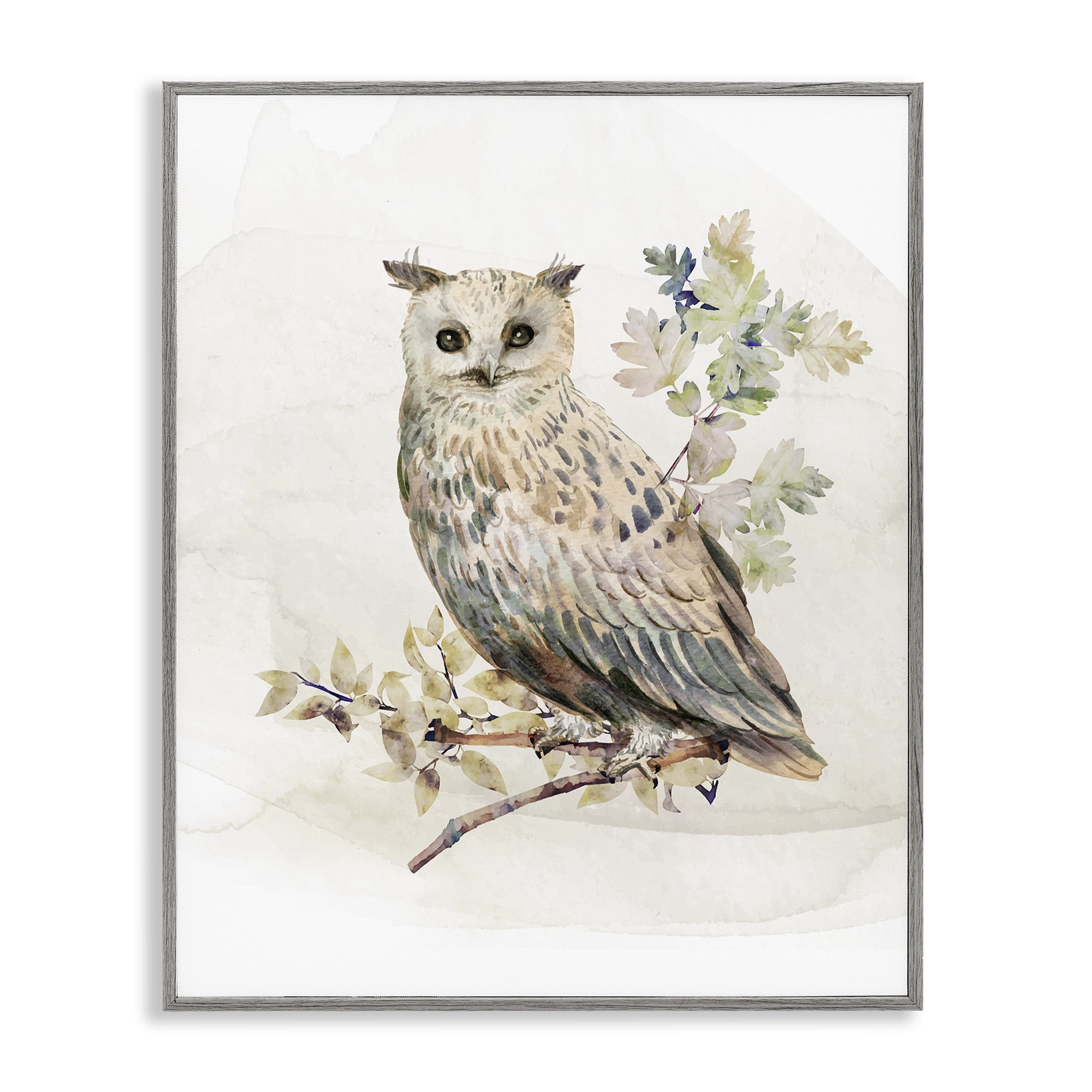 Stupell Industries Forest Owl with Foliage Gray Framed Giclee Art, design by CAD Designs