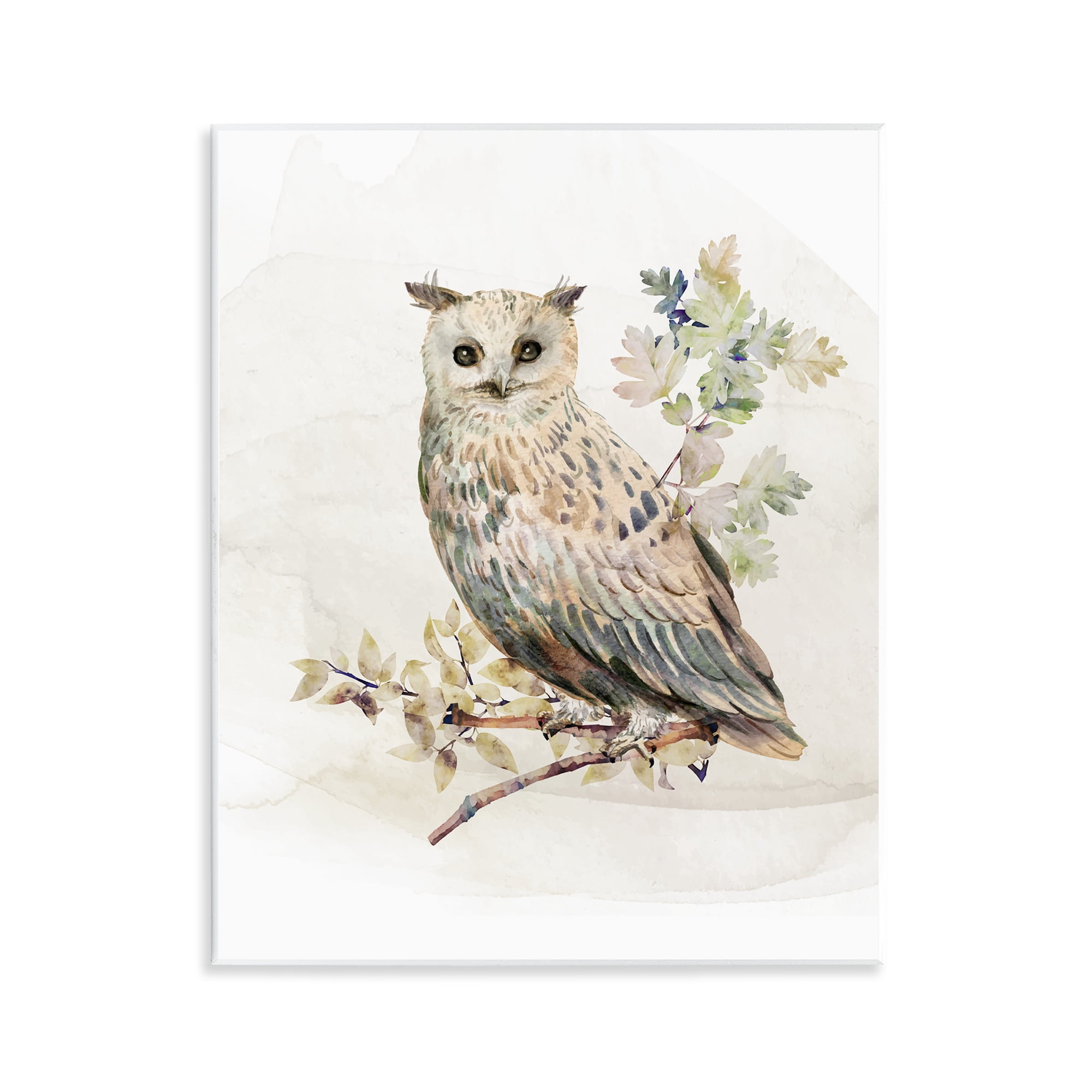 Stupell Industries Forest Owl with Foliage Wall Plaque Art, design by CAD Designs