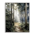 thumbnail image 1 of Stupell Industries Transitional Forest Path in Morning Gray Framed Giclee Art, 24 x 30, by Franklyn Gregory, 1 of 8