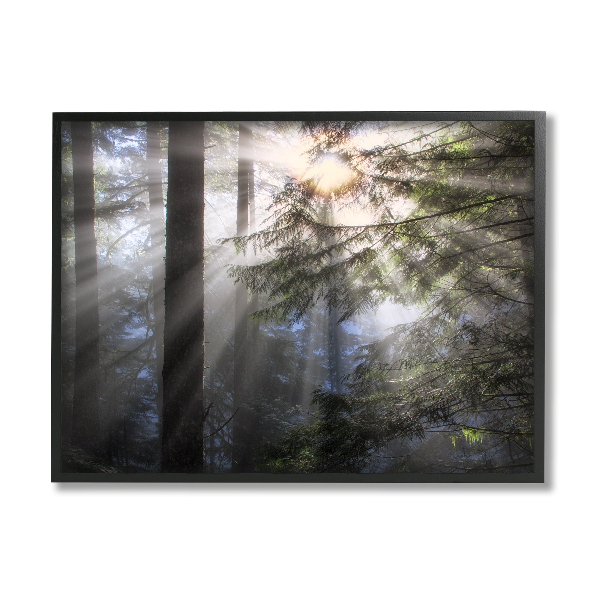Forest Sun Rays Nature Scenery Black Framed Canvas Print