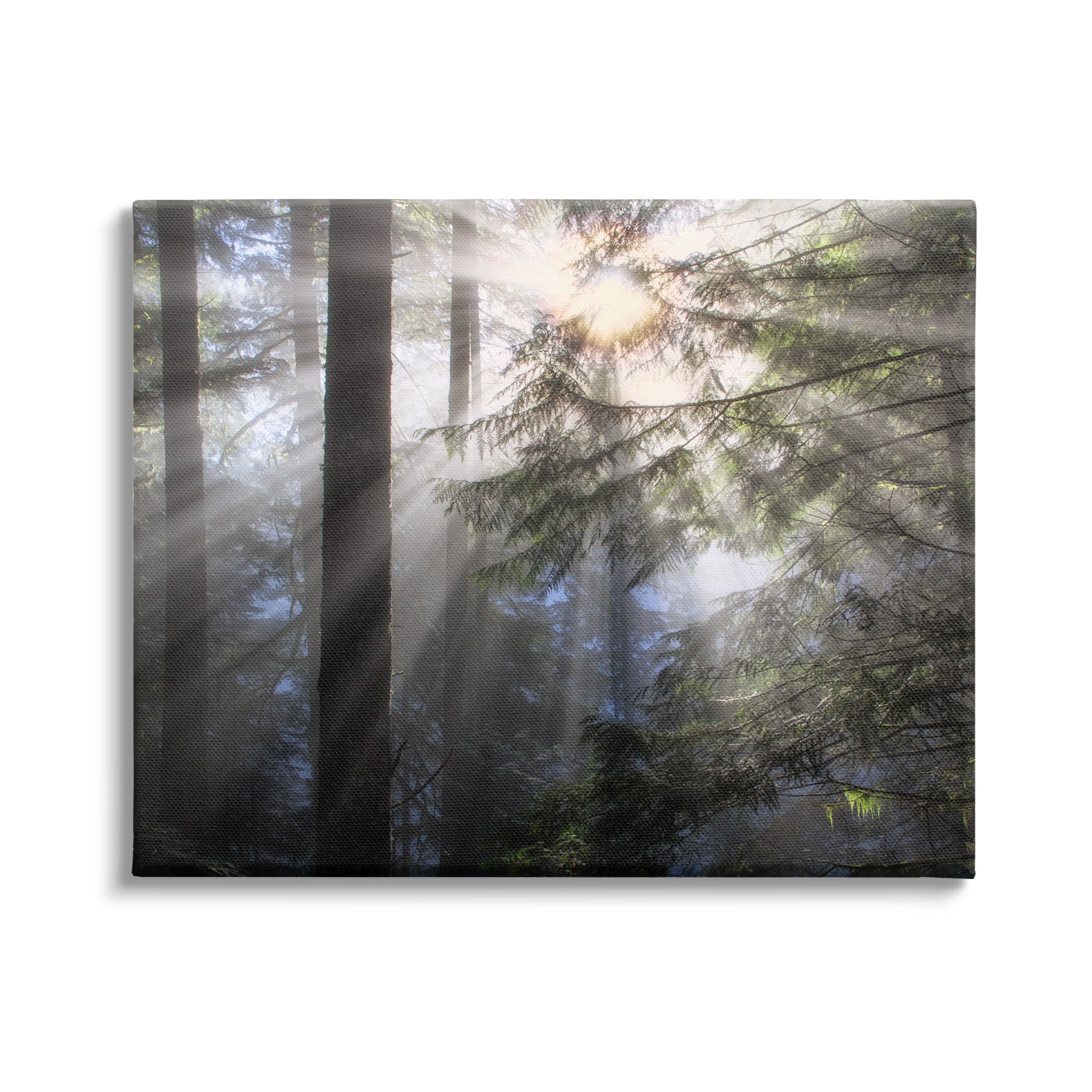 Stupell Industries Forest Sun Rays Nature Scenery Landscape Photography Gallery Wrapped Canvas Print Wall Art