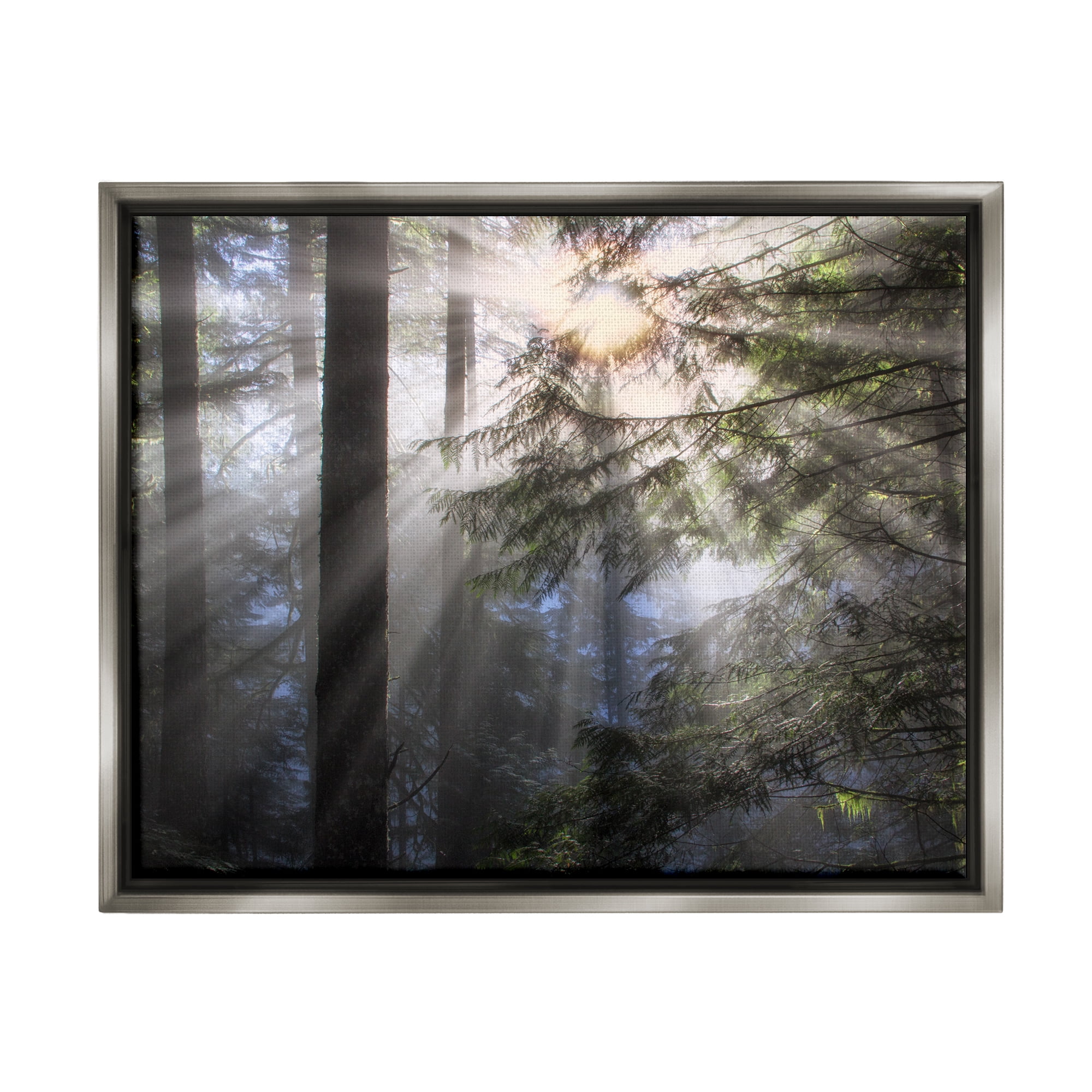 Stupell Industries Forest Sun Rays Nature Scenery Landscape Photography Gray Floater Framed Art Print Wall Art