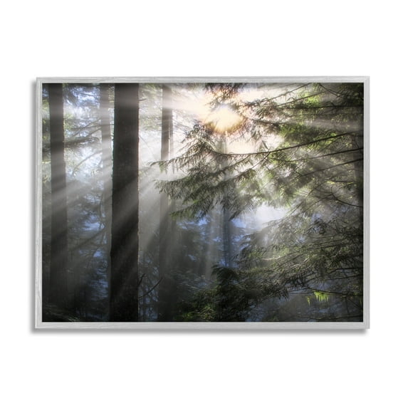 Stupell Industries Forest Sun Rays Nature Scenery Landscape Photography Gray Framed Art Print Wall Art