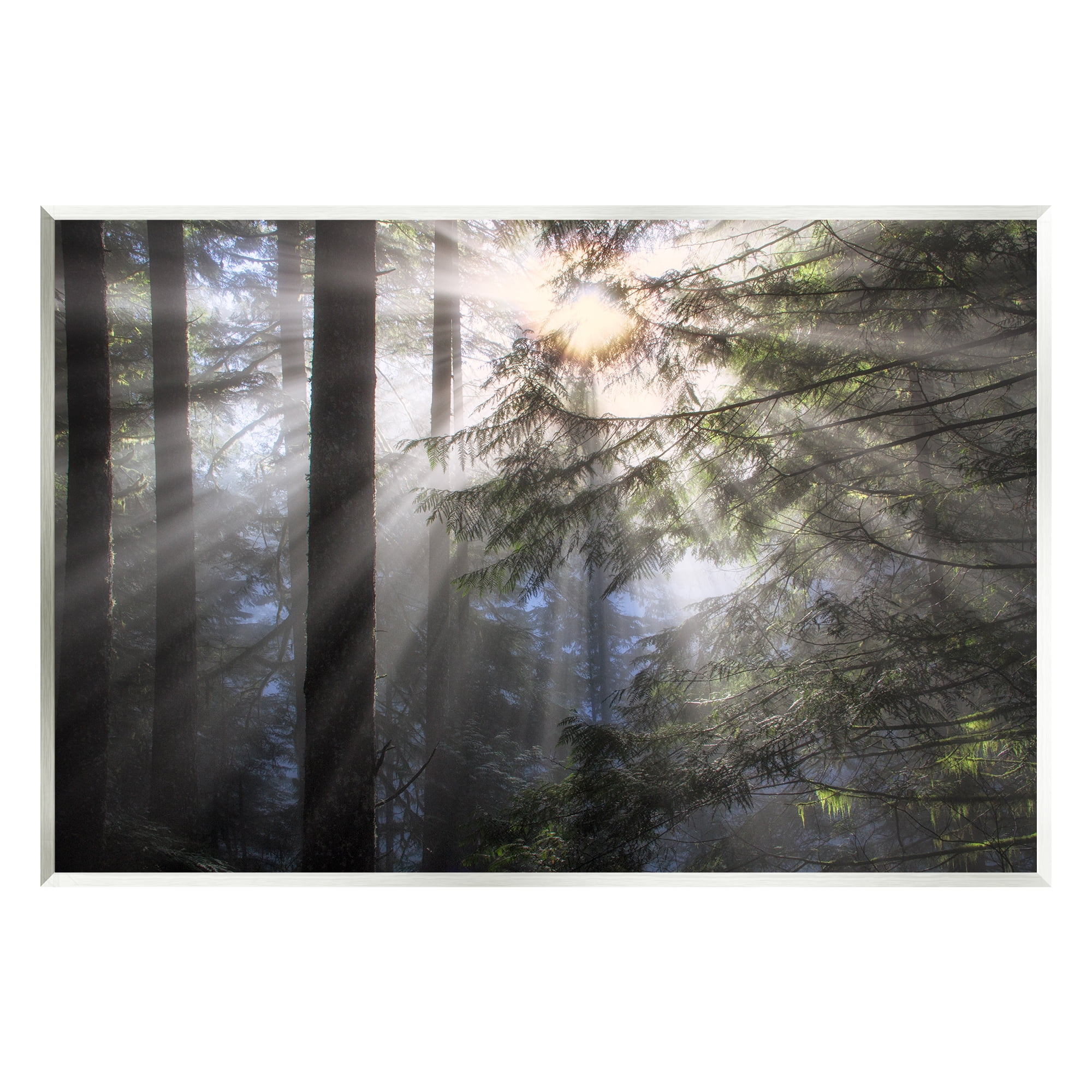 Stupell Industries Forest Sun Rays Nature Scenery Landscape Photography Unframed Art Print Wall Art