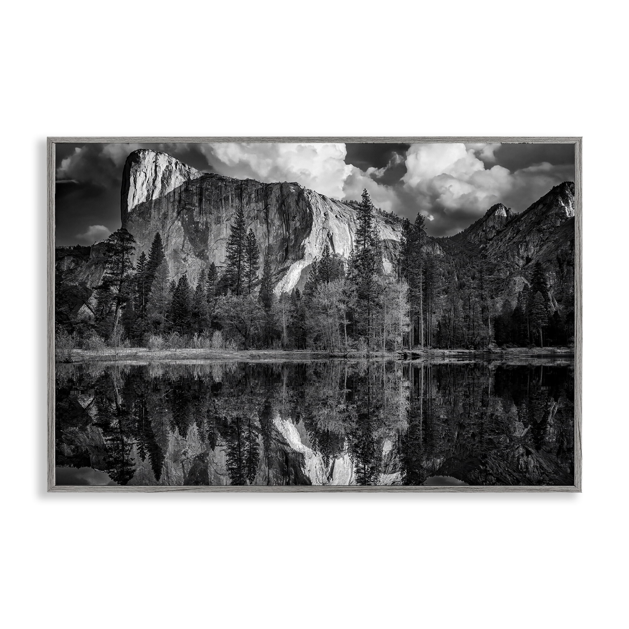 Stupell Industries Forest Trees Lake Reflection Landscape & Nature Photography Gray Framed Art Print Wall Art, 24 x 16