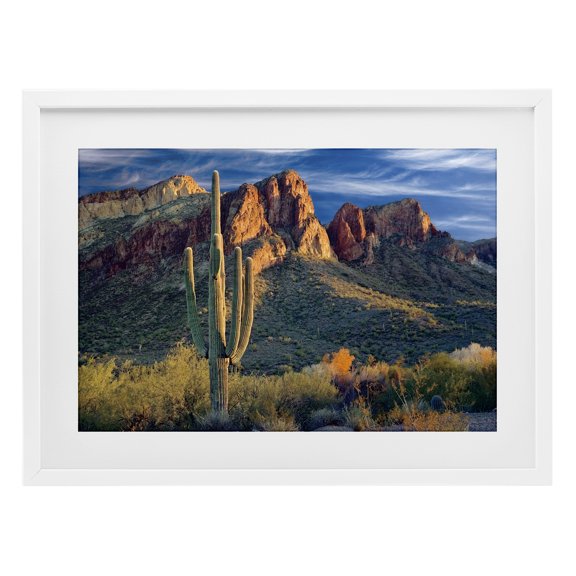 Stupell Industries Rustic Lodge Found You Cactus in Canyon White Framed Print Under Glass, 23 x 17, by Mike Jones