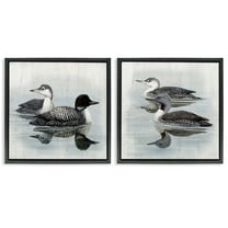 Stupell Industries Four Loons in Lake Animals Painting Black Floater Framed Canvas Art Print Wall Art, 18 x 18, Set of 2