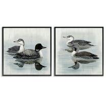 Stupell Industries Four Loons in Lake Animals Painting Black Framed Art Print Wall Art, 12 x 12, Set of 2
