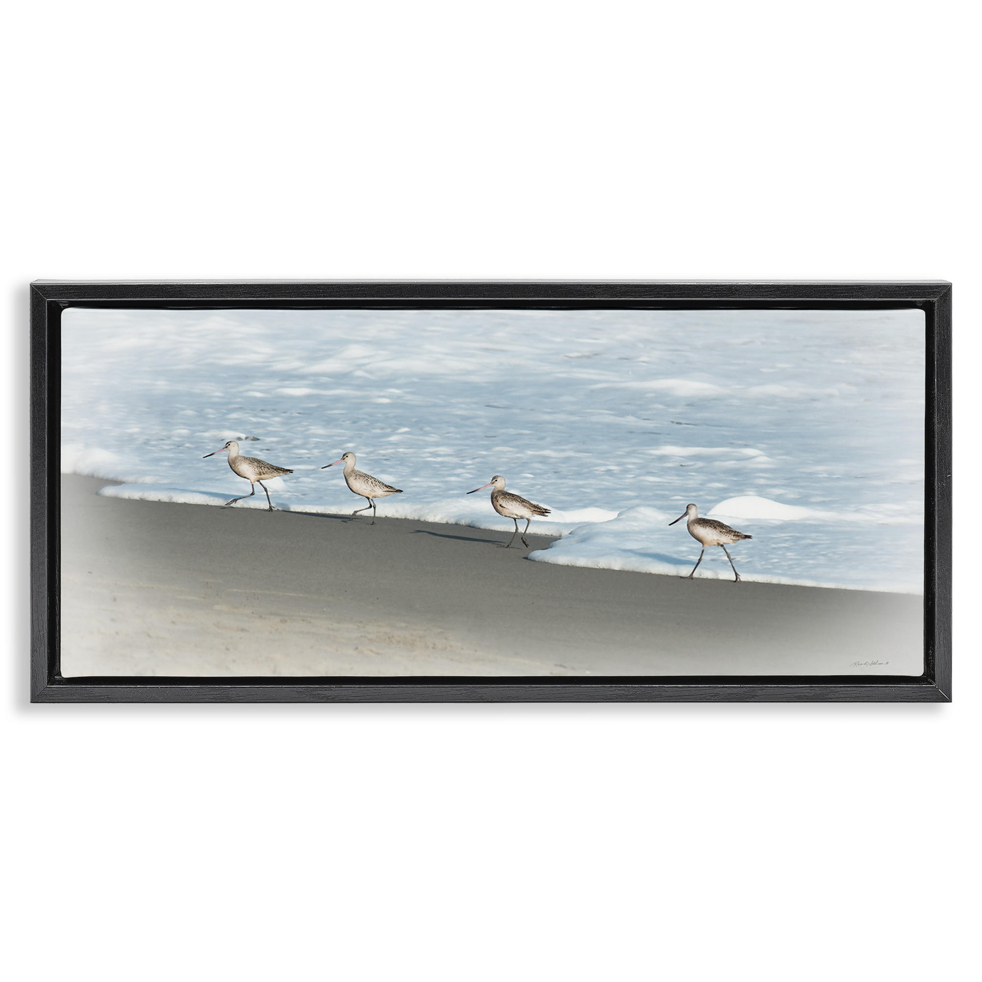Stupell Industries Four Sandpipers on Beach Nautical & Beach Painting ...