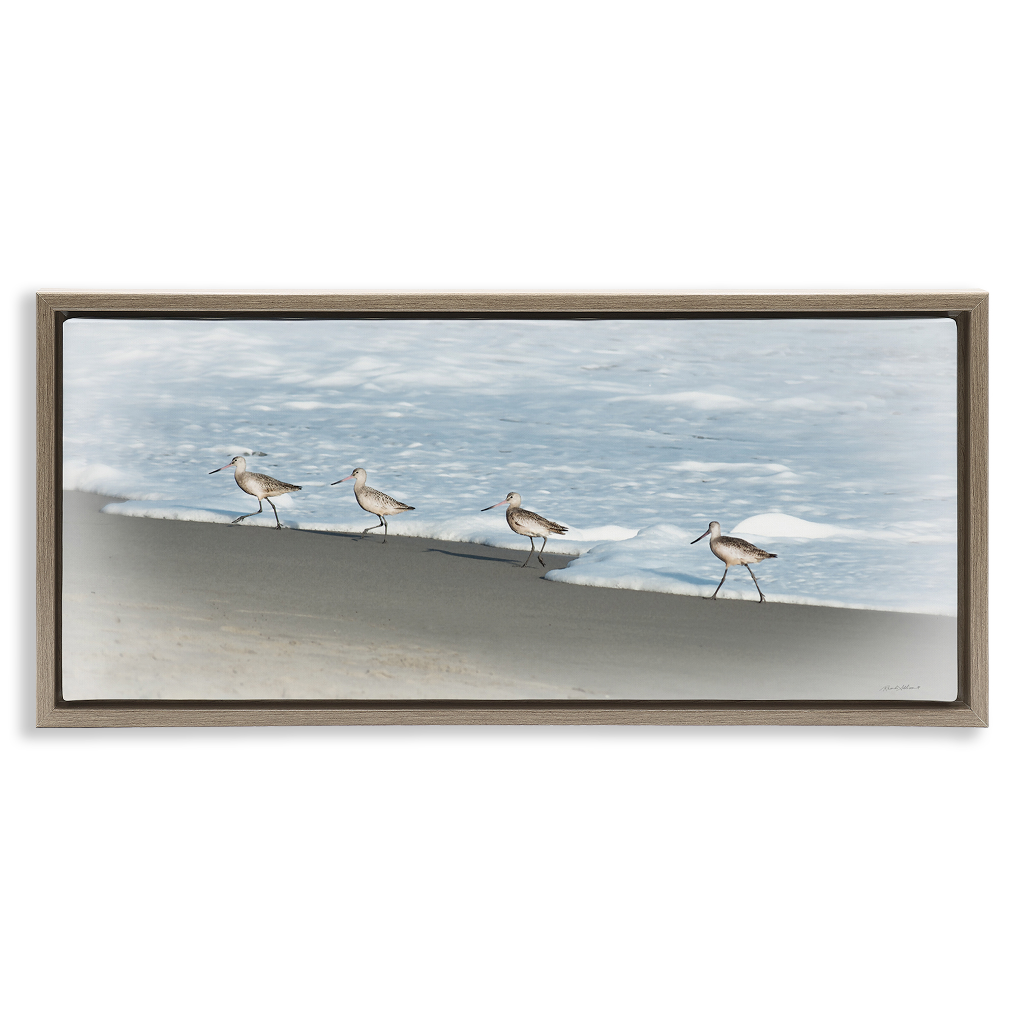 Stupell Industries Four Sandpipers on Beach Nautical & Beach Painting Brown Floater Framed Canvas Art Print Wall Art, 31 x 14