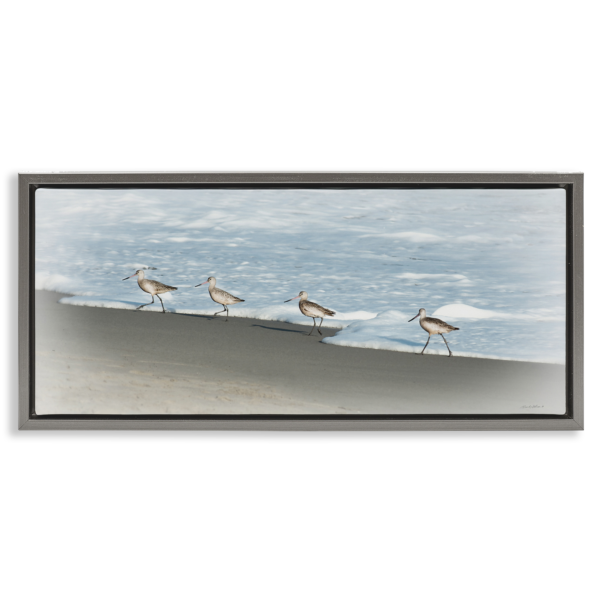 Stupell Industries Four Sandpipers on Beach Nautical & Beach Painting Gray Floater Framed Canvas Art Print Wall Art, 25 x 11