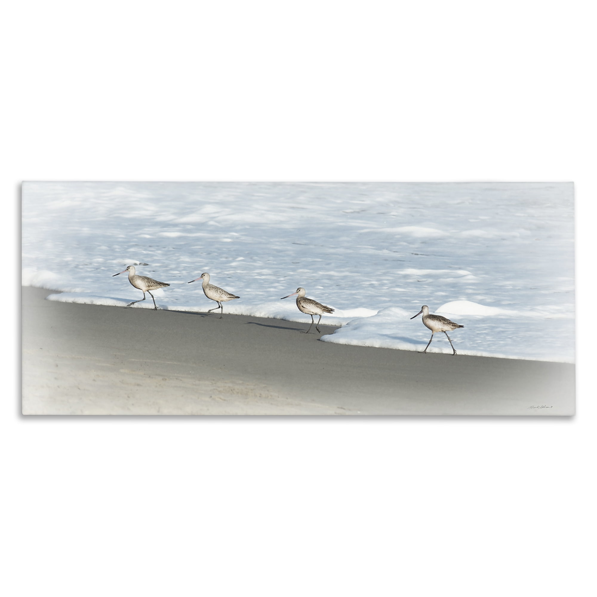 Stupell Industries Four Sandpipers on Beach Nautical & Beach Painting Wrapped Canvas Art Print Wall Art, 24 x 10