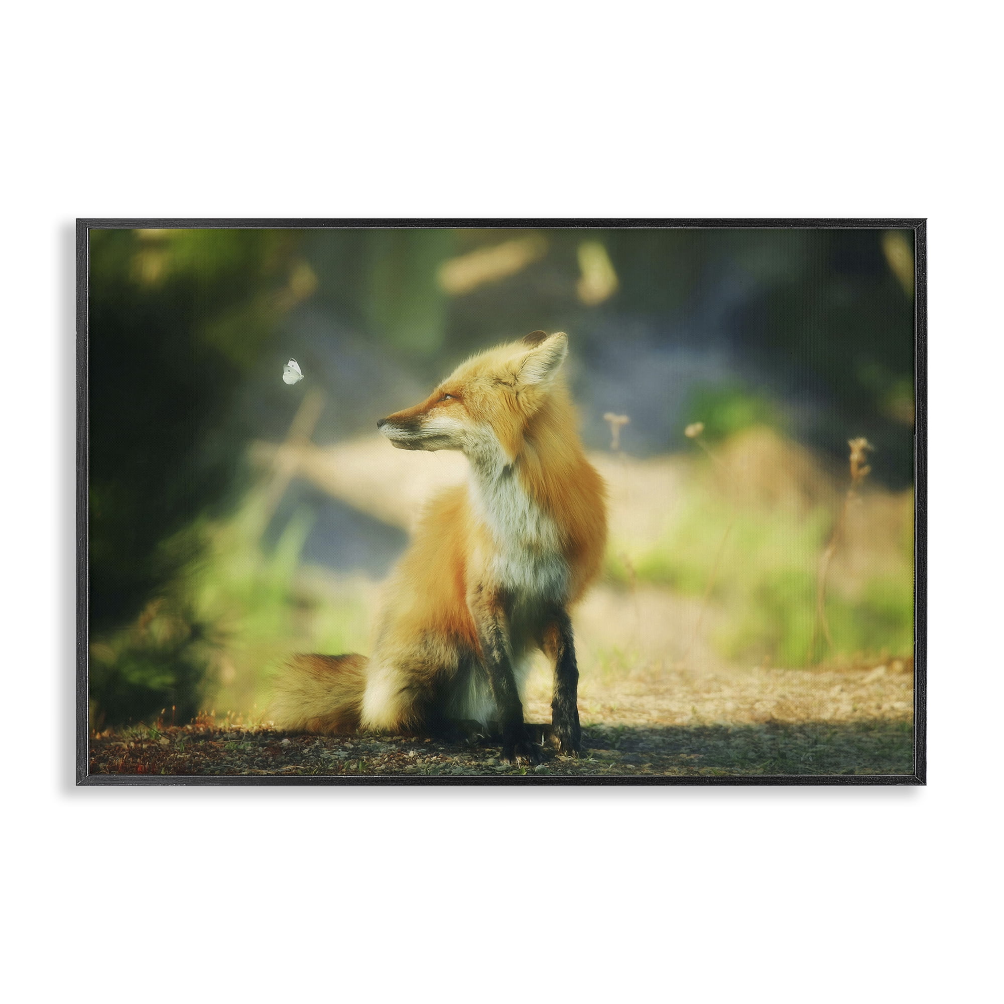 Stupell Industries Fox Kit & Butterfly Animals & Insects Photography Black Framed Art Print Wall Art, 30 x 20