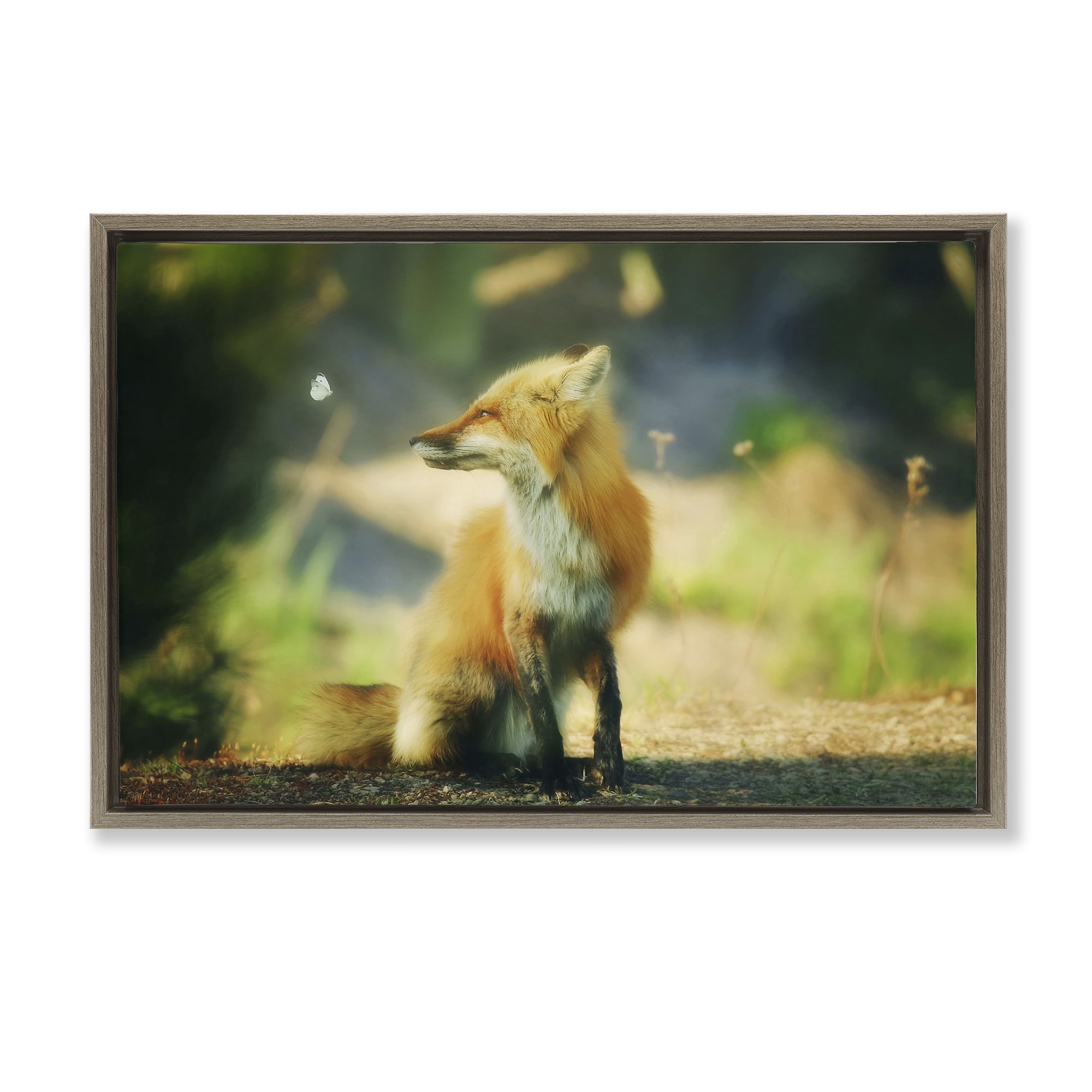 Stupell Industries Fox Kit & Butterfly Animals & Insects Photography Brown Floater Framed Canvas Art Print Wall Art, 25 x 17