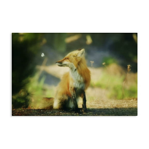 Stupell Industries Fox Kit & Butterfly Animals & Insects Photography Gallery Wrapped Canvas Art Print Wall Art, 24 x 16