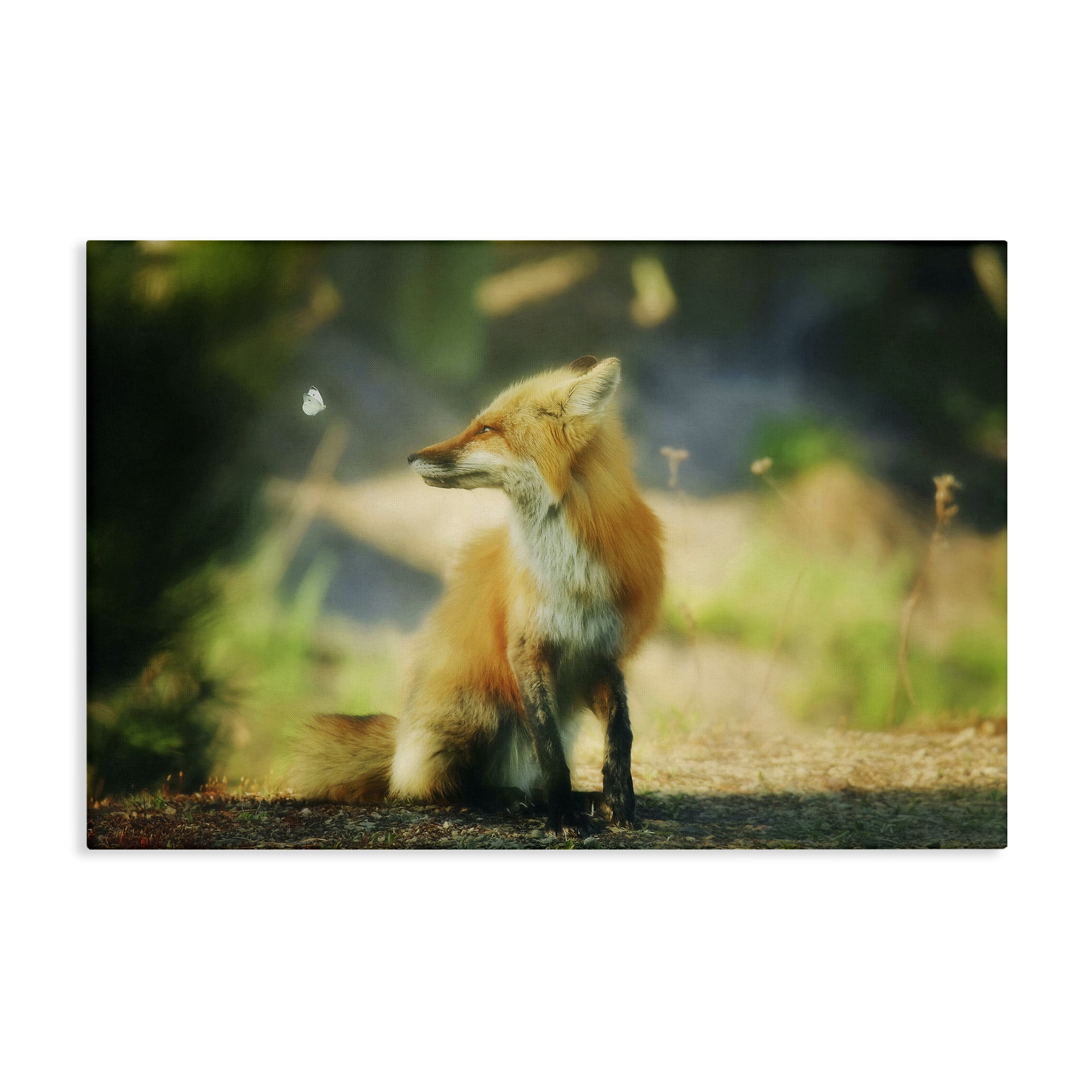 Stupell Industries Fox Kit & Butterfly Animals & Insects Photography Gallery Wrapped Canvas Art Print Wall Art, 36 x 24