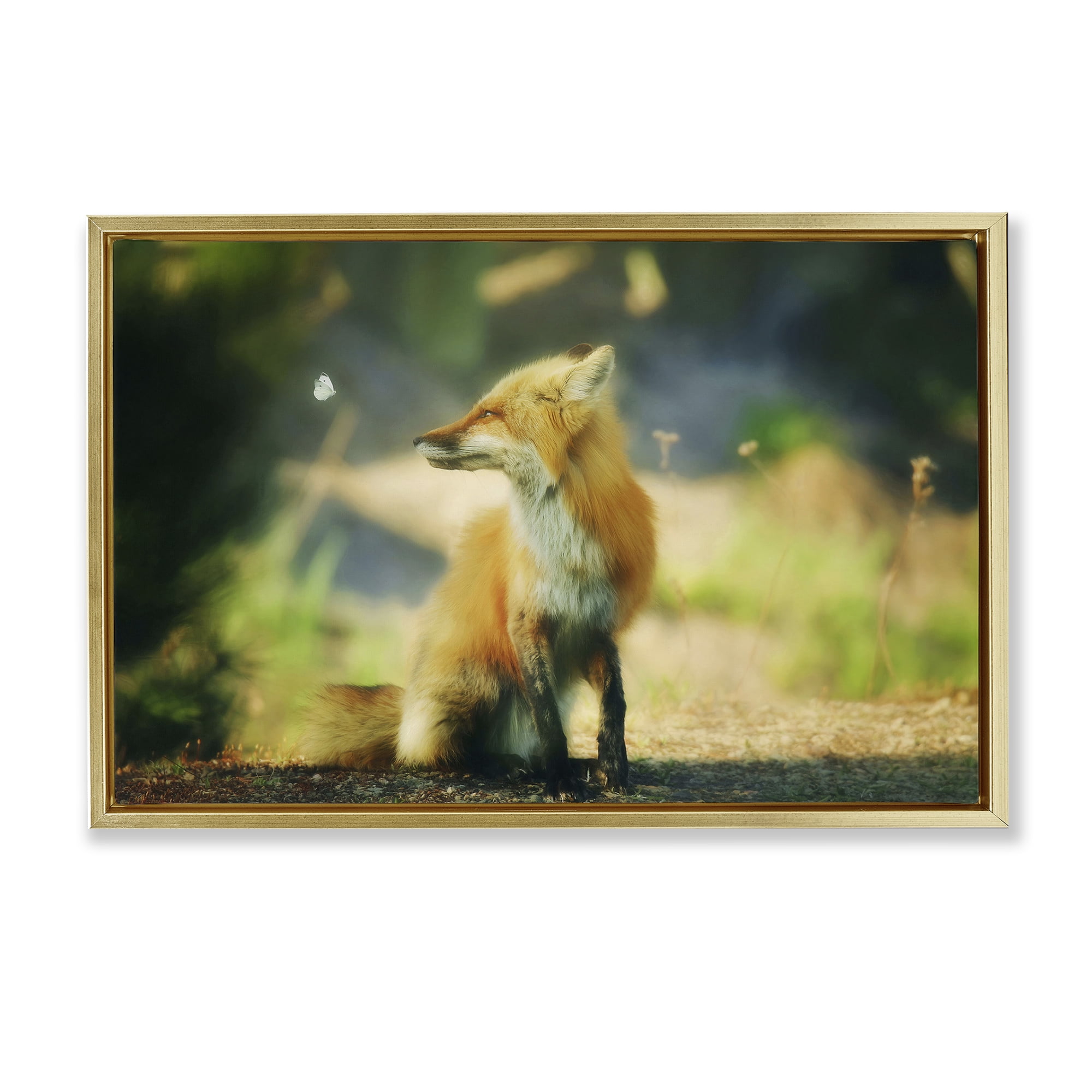 Stupell Industries Fox Kit & Butterfly Animals & Insects Photography Gold Floater Framed Canvas Art Print Wall Art, 25 x 17