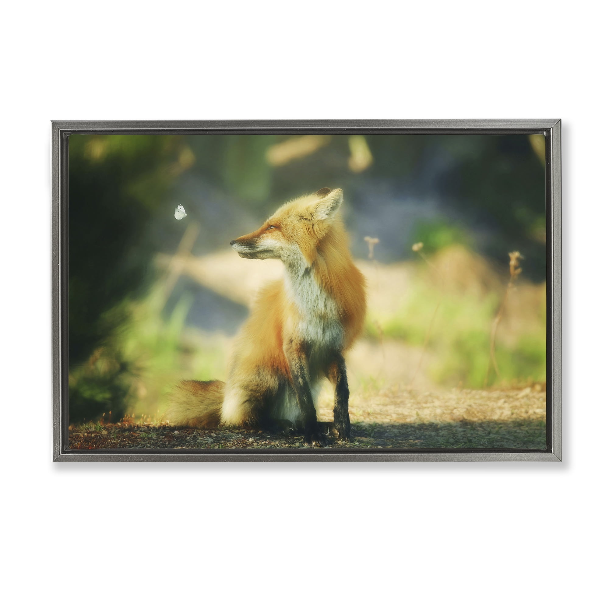 Stupell Industries Fox Kit & Butterfly Animals & Insects Photography Gray Floater Framed Canvas Art Print Wall Art, 25 x 17