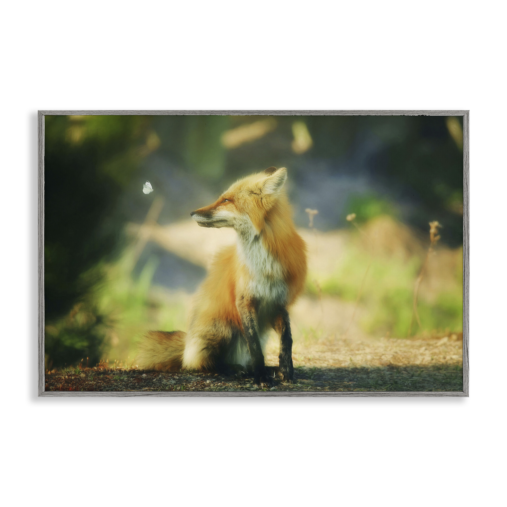 Stupell Industries Fox Kit & Butterfly Animals & Insects Photography Gray Framed Art Print Wall Art, 24 x 16