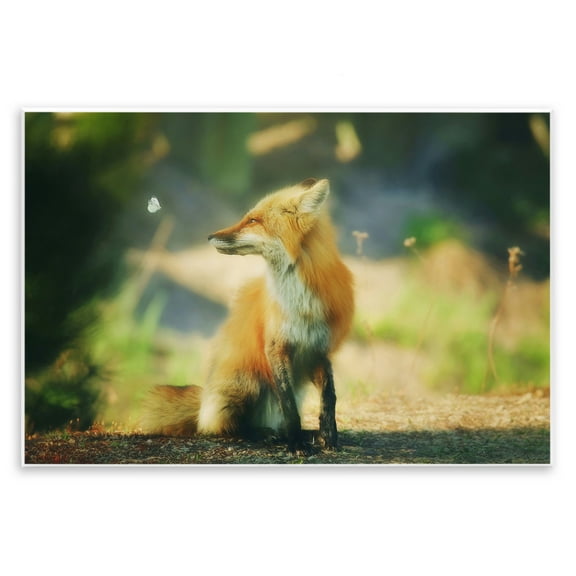 Stupell Industries Fox Kit & Butterfly Animals & Insects Photography Unframed Art Print Wall Art, 15 x 10
