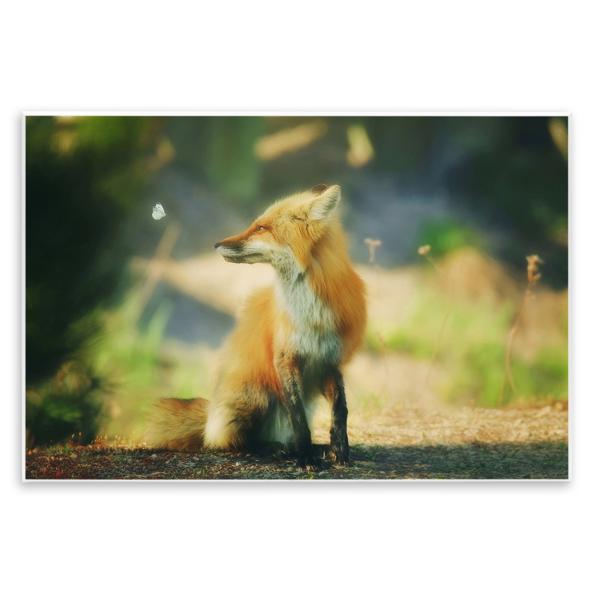 Stupell Industries Fox Kit & Butterfly Animals & Insects Photography Unframed Art Print Wall Art, 19 x 13