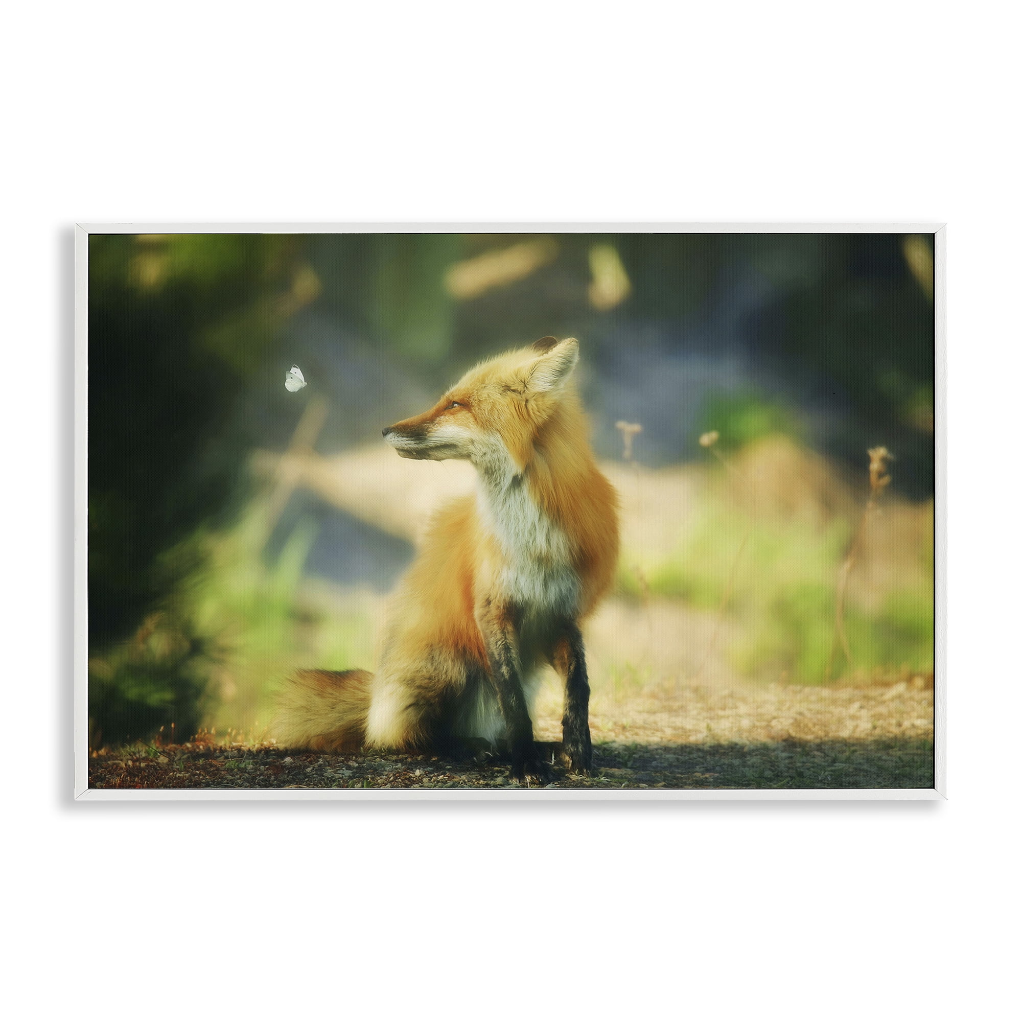 Stupell Industries Fox Kit & Butterfly Animals & Insects Photography White Framed Art Print Wall Art, 18 x 12