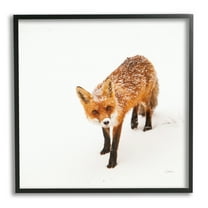 Stupell Industries Fox Stepping Snowy Landscape Animals & Insects Photography Black Framed Art Print Wall Art, 12 x 12