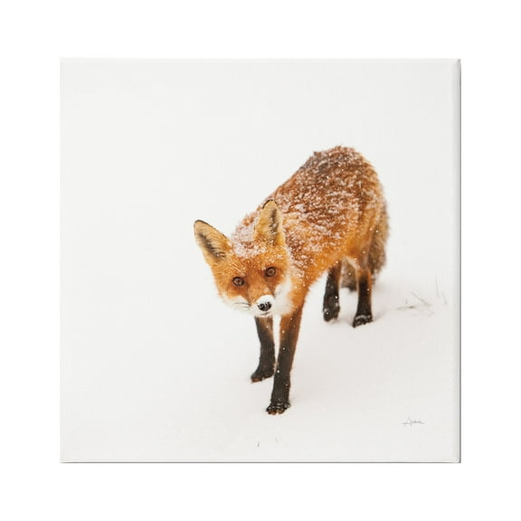 Stupell Industries Fox Stepping Snowy Landscape Animals & Insects Photography Gallery Wrapped Canvas Print Wall Art, 17 x 17