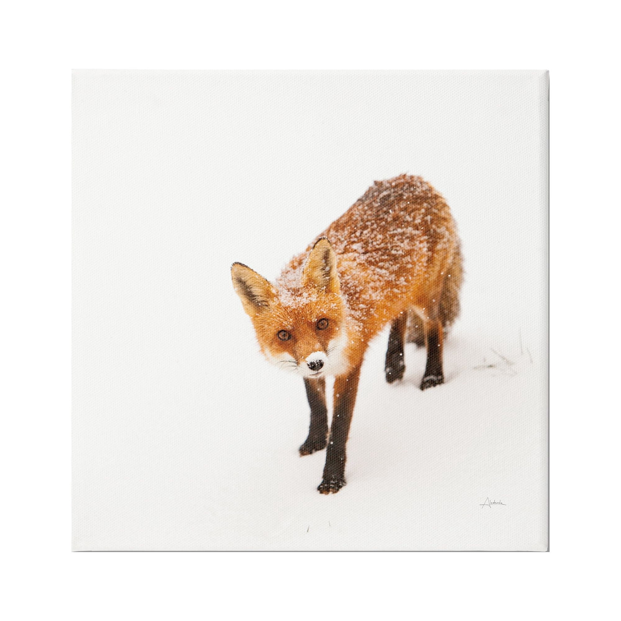Stupell Industries Fox Stepping Snowy Landscape Animals & Insects Photography Gallery Wrapped Canvas Print Wall Art, 24 x 24