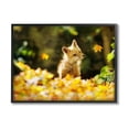 thumbnail image 1 of Stupell Industries Fox Watching Autumn Leaves Photograph Black Framed Art Print Wall Art, Design by Carrie Ann Grippo-Pike, 1 of 8